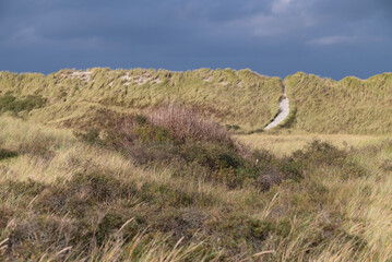 Exploring the dune landscape of Ameland with a pathway leading through the grass during cloudy weather