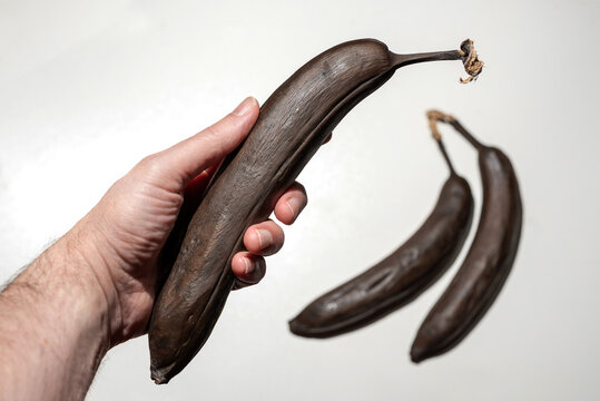 Primer plano de una mano sosteniendo un pl&aacute;tano muy maduro de piel negra sobre un fondo blanco con dos pl&aacute;tanos m&aacute;s, con desenfoque de selecci&oacute;n.