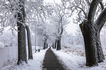 Zimowa droga © Katarzyna