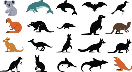 Set of Australian animal illustrations and black silhouettes featuring kangaroo, koala, dolphin, dingo, and platypus isolated on white background for design. © Shoriful