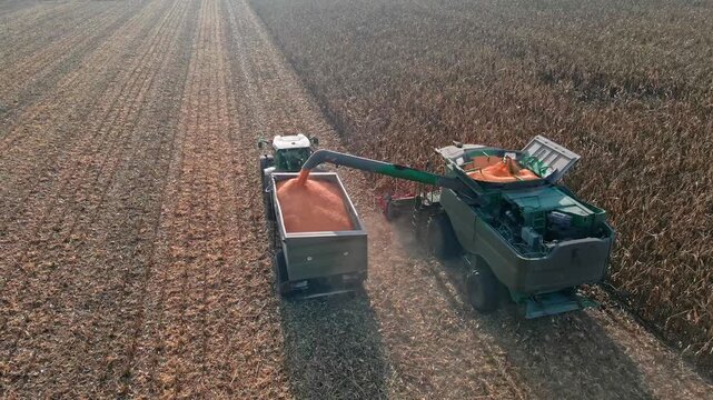 Combine harvester unloading corn into tractor trailer on agricultural field during harvest season