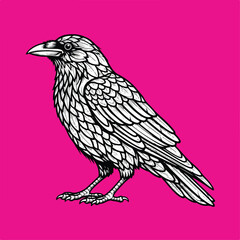 Fototapeta premium Web