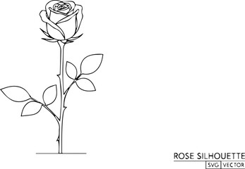 Professional Technical Sketch of a Single Rose with Construction Lines and Circles, Botanical Design