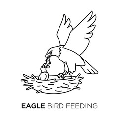 Eagle Bird Feeding Chicks in Nest Line Art Wildlife Scene vector illustration.