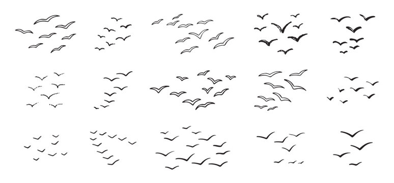 Birds flying line in the sky set. Ink grunge flock of birds afar brush hand drawn. markers and crayons