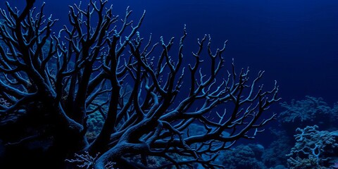Intricate black coral branches, deep ocean habitat,   texture,   dark background