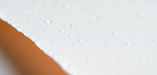 Subtle grain visible upon close inspection of off-white paper, vintage, fine