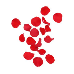 Cluster of vibrant red dots scattered across a white background