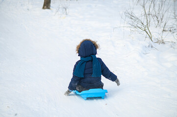 Little boy enjoying winter outdoor fun while sledding in snowy forest. Active childhood, seasonal outdoor recreation, winter adventure, family leisure and healthy lifestyle concept