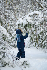 Little boy walking and playing in snowy winter forest. Natural childhood, winter season, outdoor lifestyle, family leisure, exploration and connection with nature.
