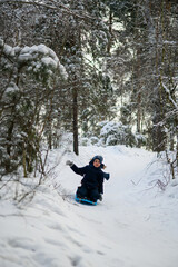 Little boy enjoying winter outdoor fun while sledding in snowy forest. Active childhood, seasonal outdoor recreation, winter adventure, family leisure and healthy lifestyle concept