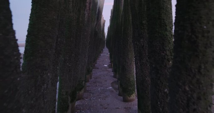 vue de piquet a moule sur la plage d'oye-plage 