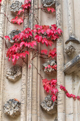 Church Wachau, Germany, Leipzig