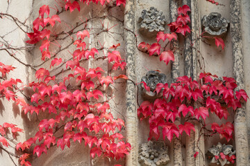 Church Wachau, Germany, Leipzig