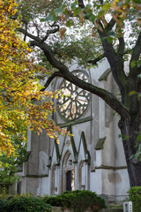 Kirchenruine Wachau, Germany
