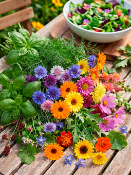 Mixture of varieties of flowers and aromatic plants for cooking