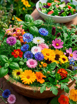 Mixture of varieties of flowers and aromatic plants for cooking
