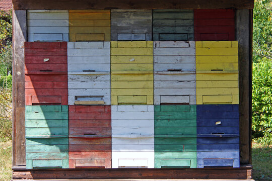 A lot of bee hives under the same roof