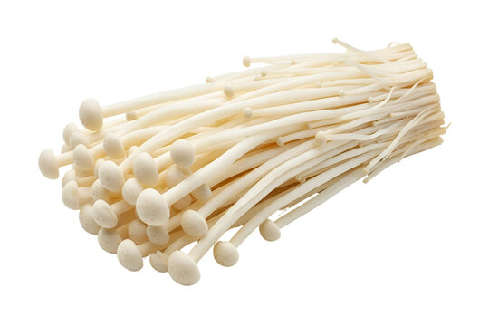 Bunch of white enoki mushrooms isolated on transparent background