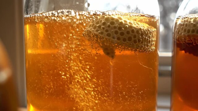 Tangy probiotic kombucha fermenting in glass jars on a sunlit windowsill