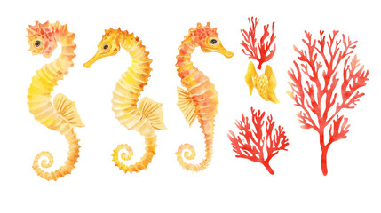 Obraz premium Watercolor set of seahorses and red coral branches isolated on black background, marine life illustration bundle.