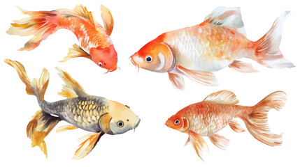 Naklejka premium Set of six koi and goldfish watercolor illustrations isolated on black background, varied colors and poses, decorative aquatic animal art for pet, pond, and nature themes.