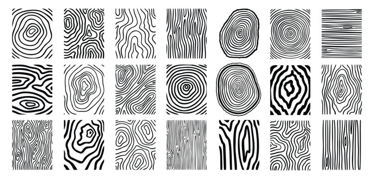 Wood lines texture material doodle hand drawn line set. Rings and circles tree trunk geometric curve, wave contour. 