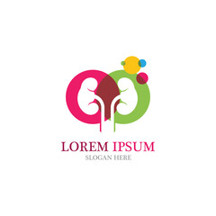 Fototapeta premium kidney vector illusrtation