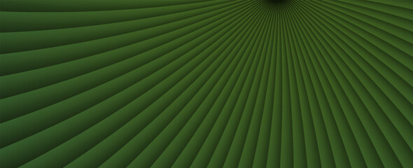 Obraz premium natural tropical green leaf palm leaf texture close up. vector