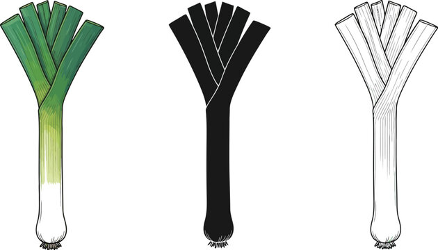Leek vegetable presented in full color, solid black silhouette, and clean line art versions for culinary design projects.