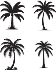 Palm tree silhouette set nature vector isolated on white background 
