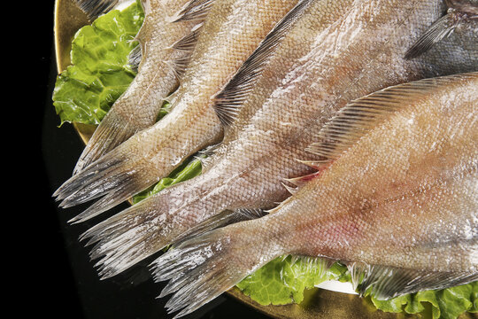 Fresh Caught Plaice Flatfish Seafood Display from Dalian Sea Market with Lettuce Garnish