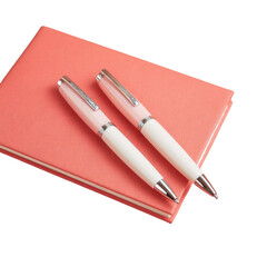 Elegant silver fountain pen resting on a vibrant red notebook and matching pen stand isolated on transparent background