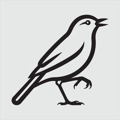 Beautiful bird vector design