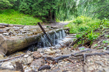 Small Waterfall Over Logs on Forest Path