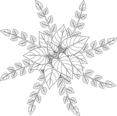 Floral Snowflake Outline