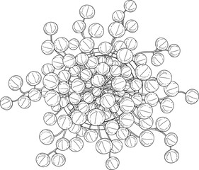 Lollipop Network