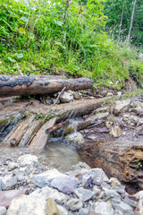 Mountain Spring Water Flowing Through Wooden Logs