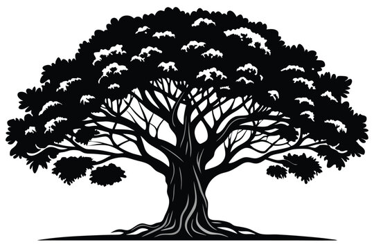 banyan tree line art silhouette vector illustration
