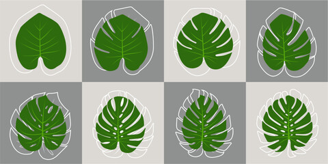 monstera green leaves white o... © CocoonVectorStories