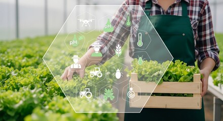 Smart Hydroponic Farming Technology in Greenhouse