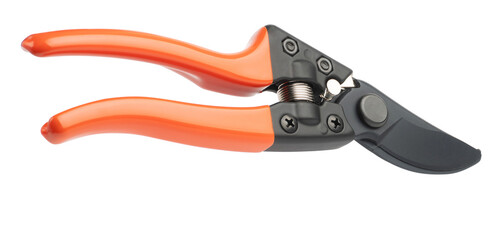 Fototapeta premium Gardening tool equipment. Single steel garden scissors for pruning plants and flowers. Pruning of a vineyard or fruit tree. isolated on white background