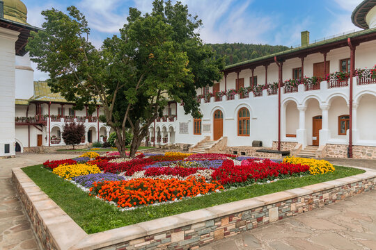 Colorful flower at the Monastery Agapia in Romania