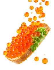 Red caviar salmon roe falling with parsley