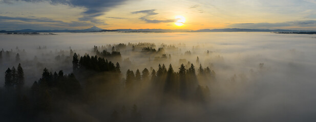 A blanket of sunlit fog drifts through the Willamette Valley just south of Portland, Oregon. The Pacific Northwest is known for its scenic forests, waterfalls, and rivers, as well as its wet weather.