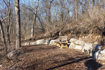 A wooden park bench sits along a woodchip trail in a sunlit Waukesha, Wisconsin forest during the quiet, dormant transition of a mid-March afternoon.