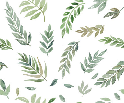 Watercolor painting of leaf and flowers, seamless pattern on white background. summer print , allover design . Fresh botanical green foliage painted in soft gradients.sage green leaf forms 