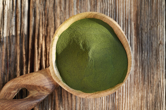 Chlorella algae powder on a wooden spoon, top view