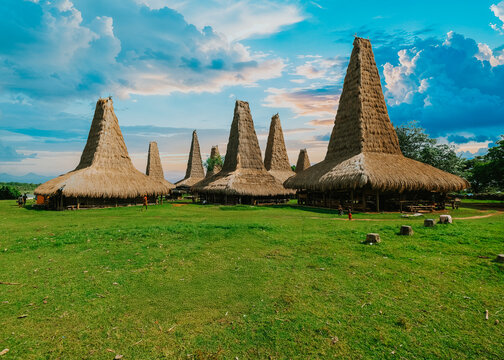 Ancient Megalithic Tombs and Towering Thatched Houses of Ratenggaro, Sumba