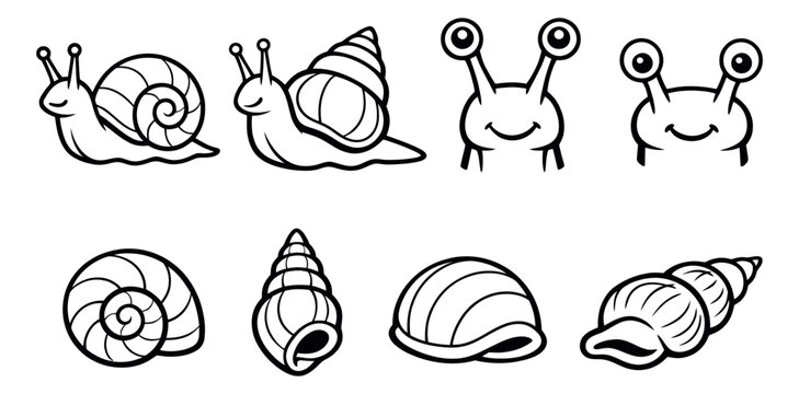 Hand drawn line art snail and shell set featuring different types of snails and various spiral shells for nature and animal concepts